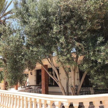 Tiguimi Vacances - Oasis Villas, Cadre Naturel Et Vue Montagne Αγκαντίρ Εξωτερικό φωτογραφία