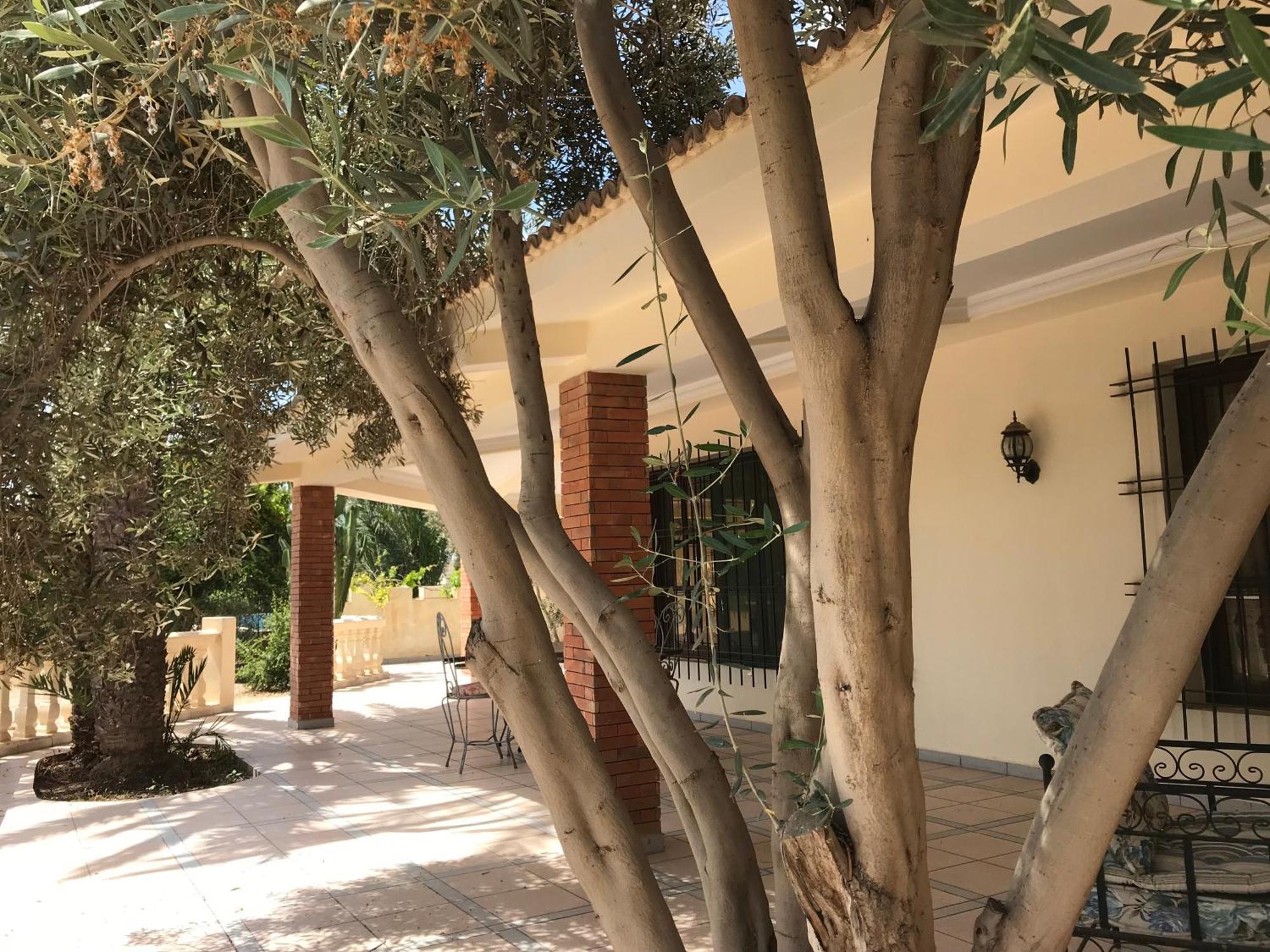 Tiguimi Vacances - Oasis Villas, Cadre Naturel Et Vue Montagne Αγκαντίρ Εξωτερικό φωτογραφία