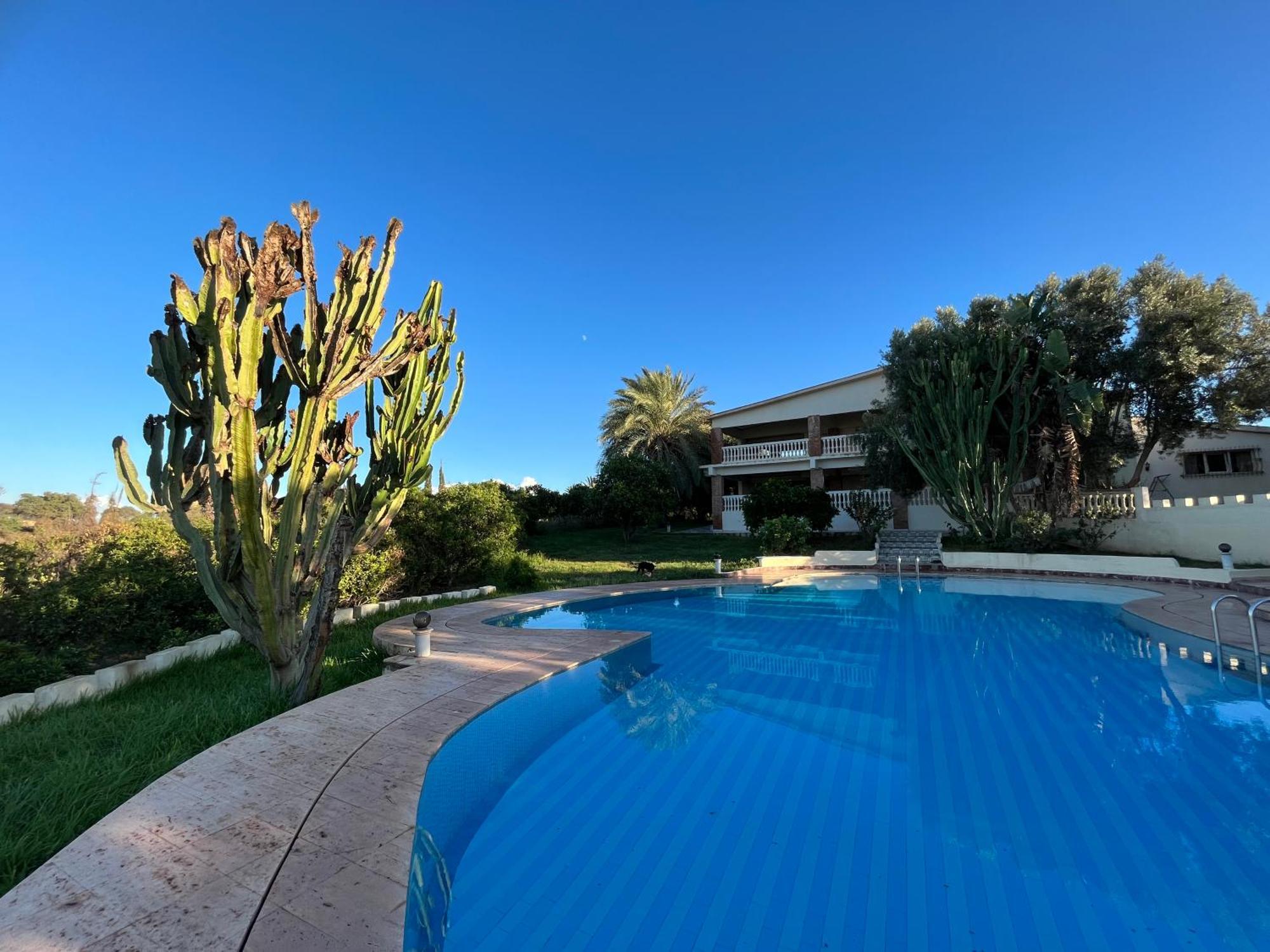 Tiguimi Vacances - Oasis Villas, Cadre Naturel Et Vue Montagne Αγκαντίρ Εξωτερικό φωτογραφία