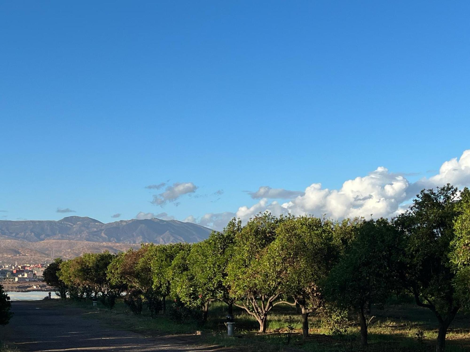 Tiguimi Vacances - Oasis Villas, Cadre Naturel Et Vue Montagne Αγκαντίρ Εξωτερικό φωτογραφία