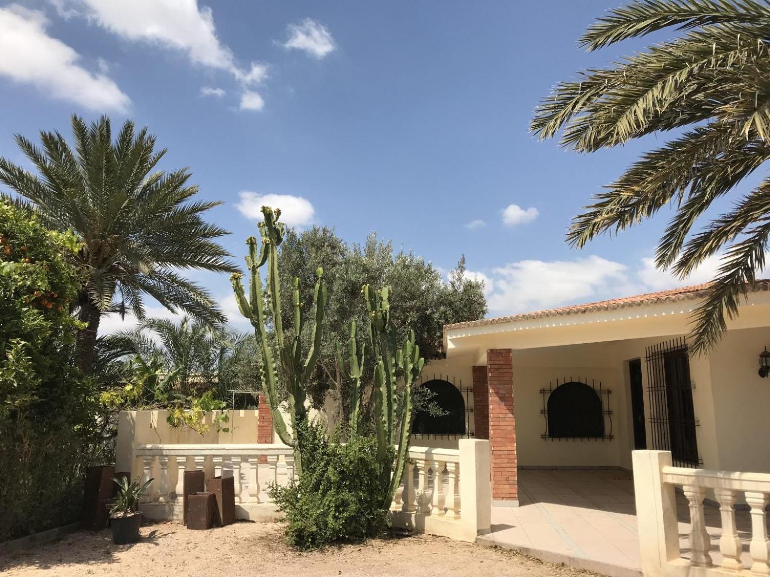 Tiguimi Vacances - Oasis Villas, Cadre Naturel Et Vue Montagne Αγκαντίρ Εξωτερικό φωτογραφία