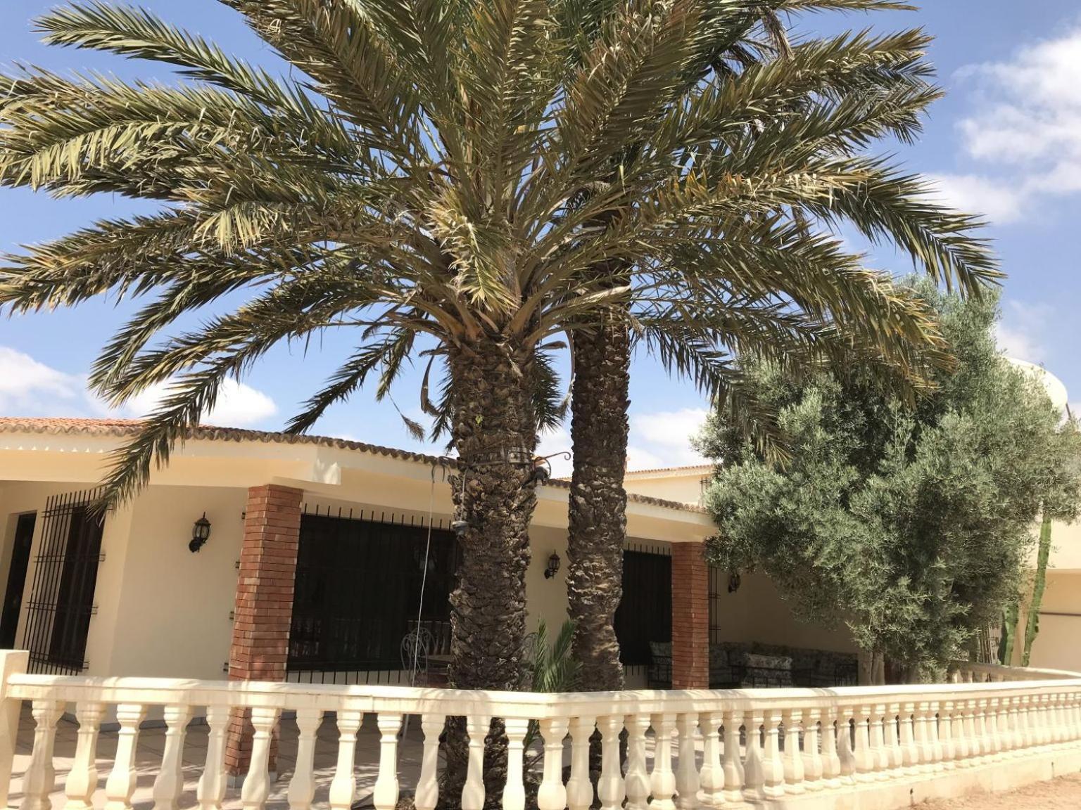 Tiguimi Vacances - Oasis Villas, Cadre Naturel Et Vue Montagne Αγκαντίρ Εξωτερικό φωτογραφία